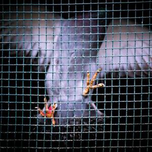 啊灬啊灬啊灬快灬高潮了文
